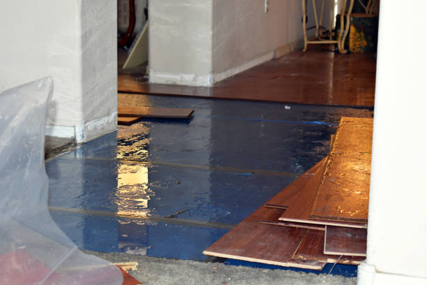 Professional Sewage Cleanup technician working in Detroit, OR